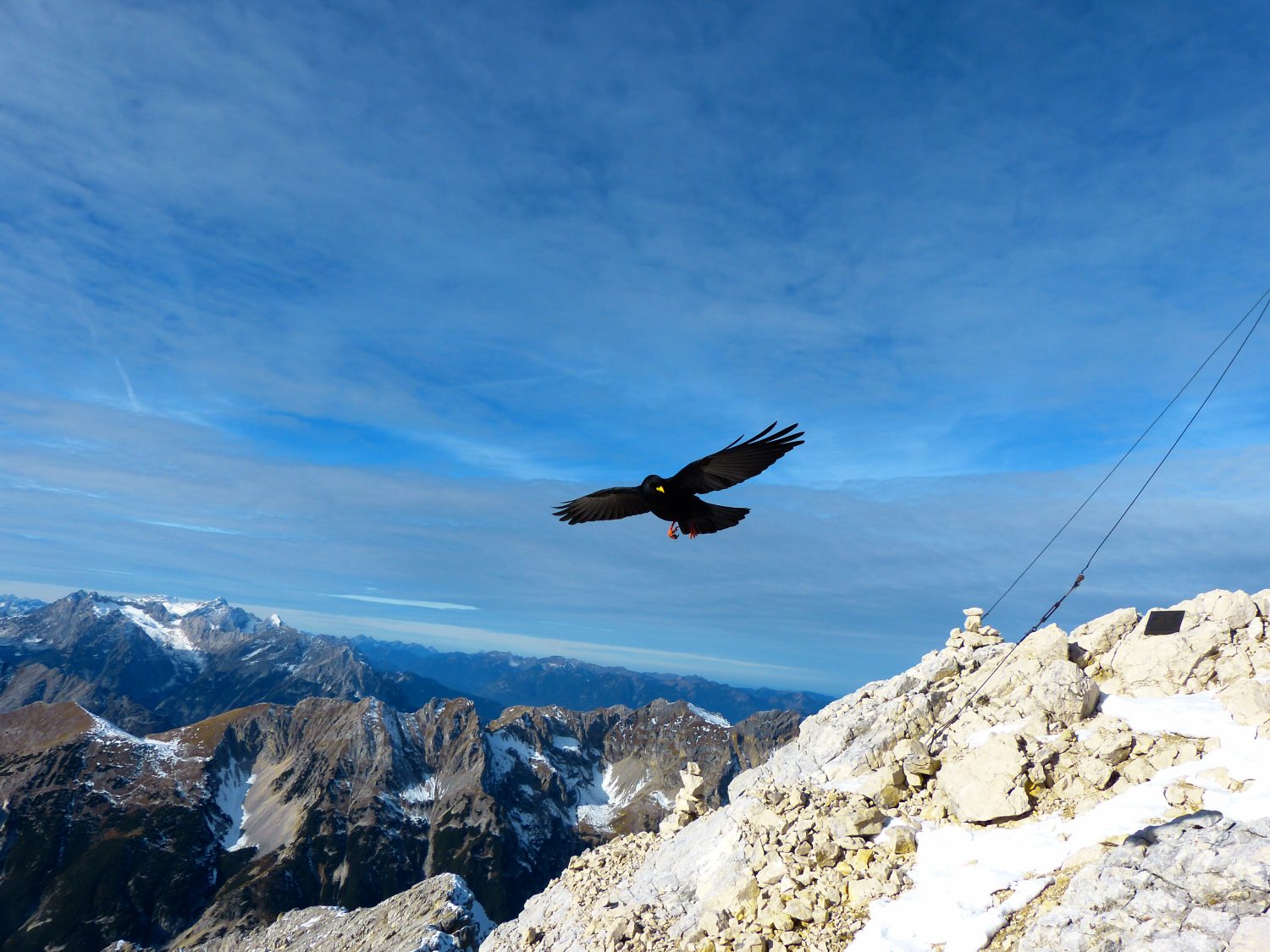 Kombitour Pleisenspitze 2569m