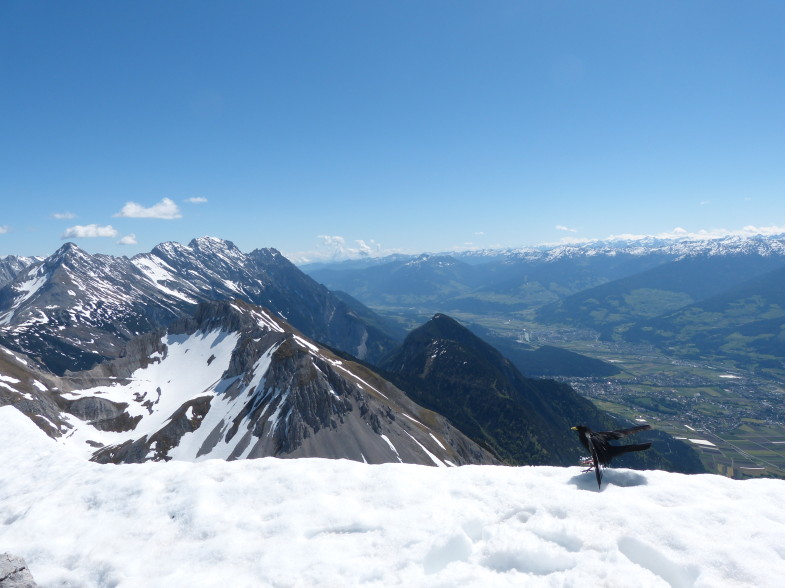 Blick zum Stempeljoch mit Dohle