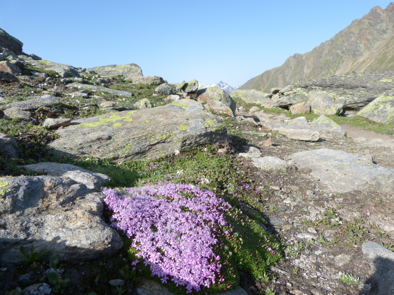 Wunderschön. Kurz oberhalb des Laubkarsees