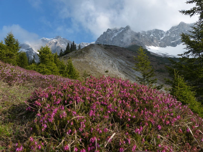 Blick zur Hohen Warte, das Wetter noch vielversprechend