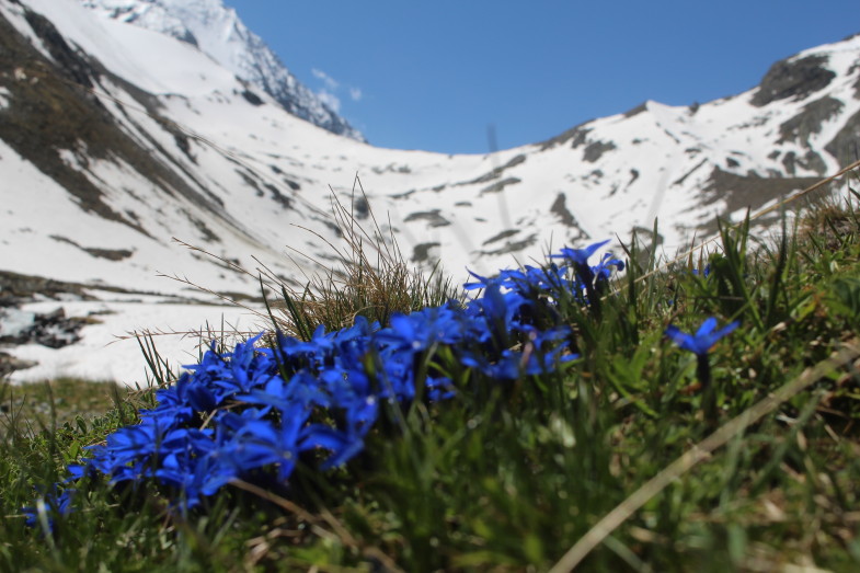 Frühling- Sommer- Winter irgendwie alles vereint