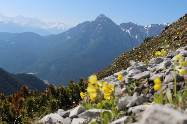 Platenigl im Halsl mit Serles im Hintergrund