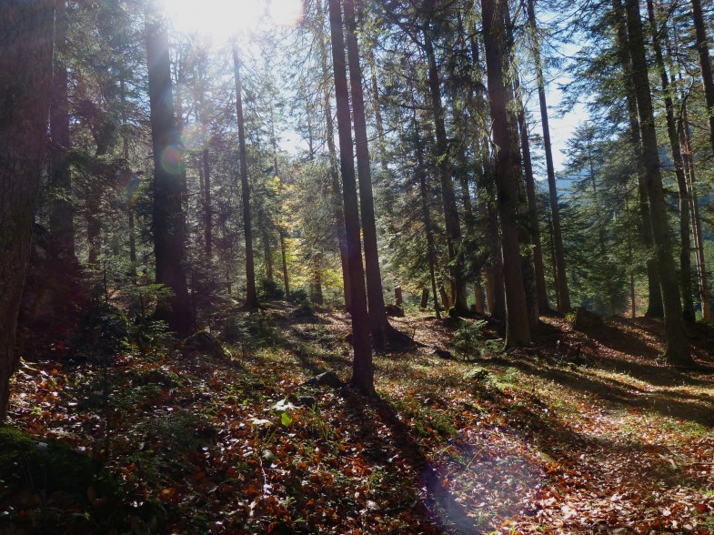 Herbststimmung im Karwendel