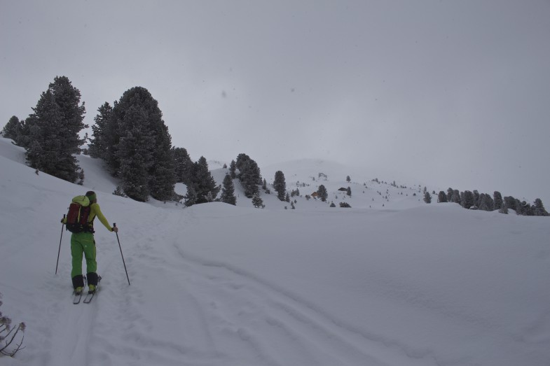 Bald am Kamm, Schnee wird dann wieder weniger.