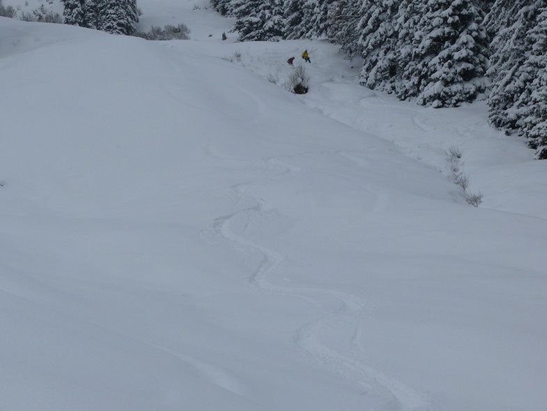 Pulverabfahrt von der Salfeins Alm abwärts