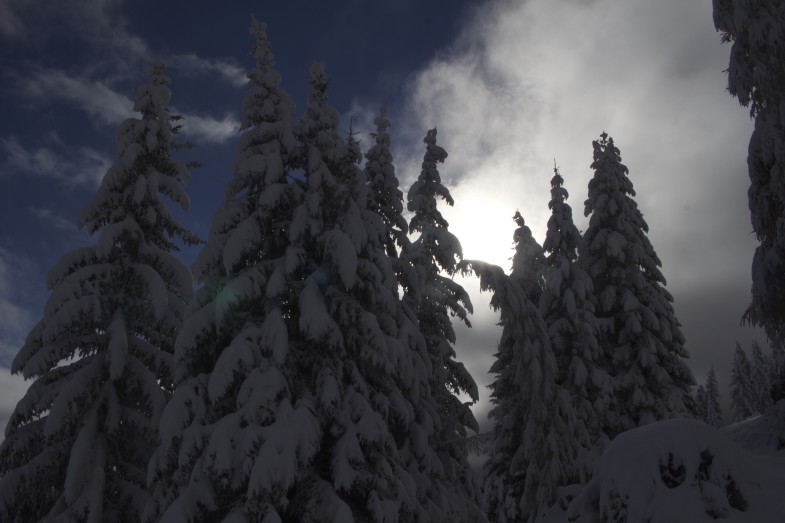 Oberhalb der Raitiser Alm, Vorboten des Winters
