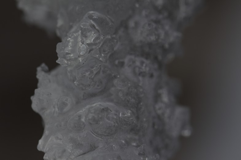 Frozen