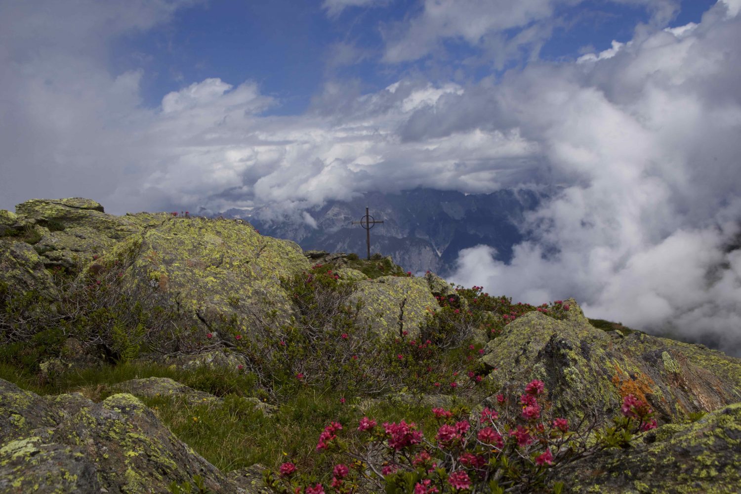 Schaflegerkogel- Angerbergkopf- Breitschwemmkogel- Grieskogel