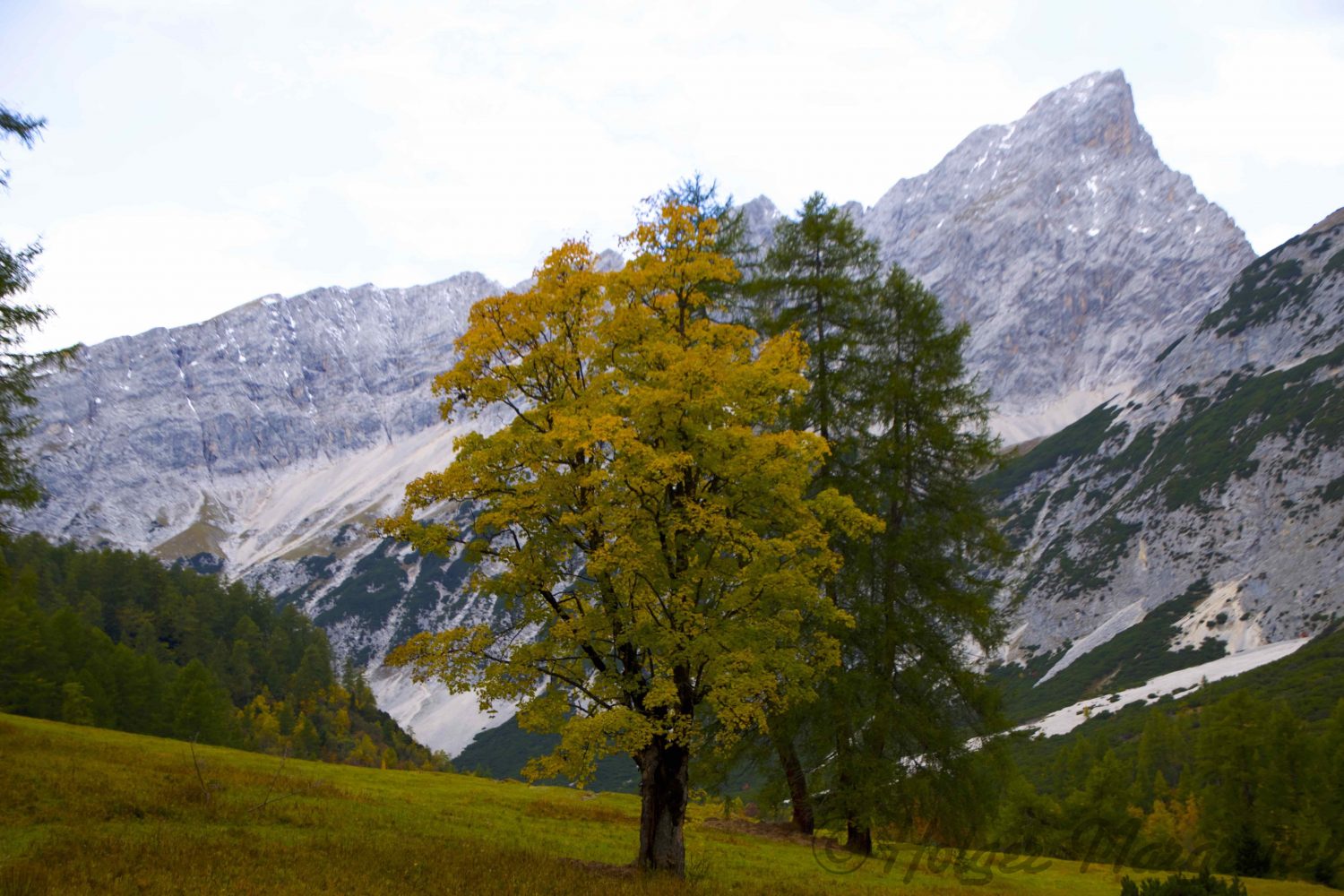 Speckkarspitze