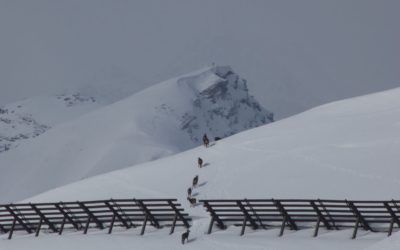 Blaser- Peilspitze über Langes Tal