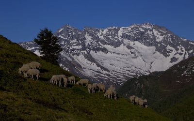 Padaunerkogel zum Sonnenuntergang