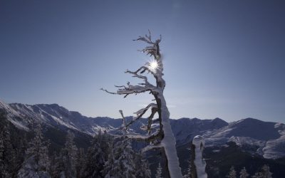 Winterlich im Senderstal