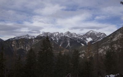 Am Weg zur Kirchbergalm