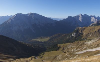 Dem Teufel auf das Haupt gestiegen