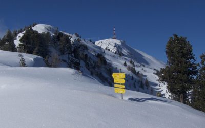 Schöne Runde im Viggartal