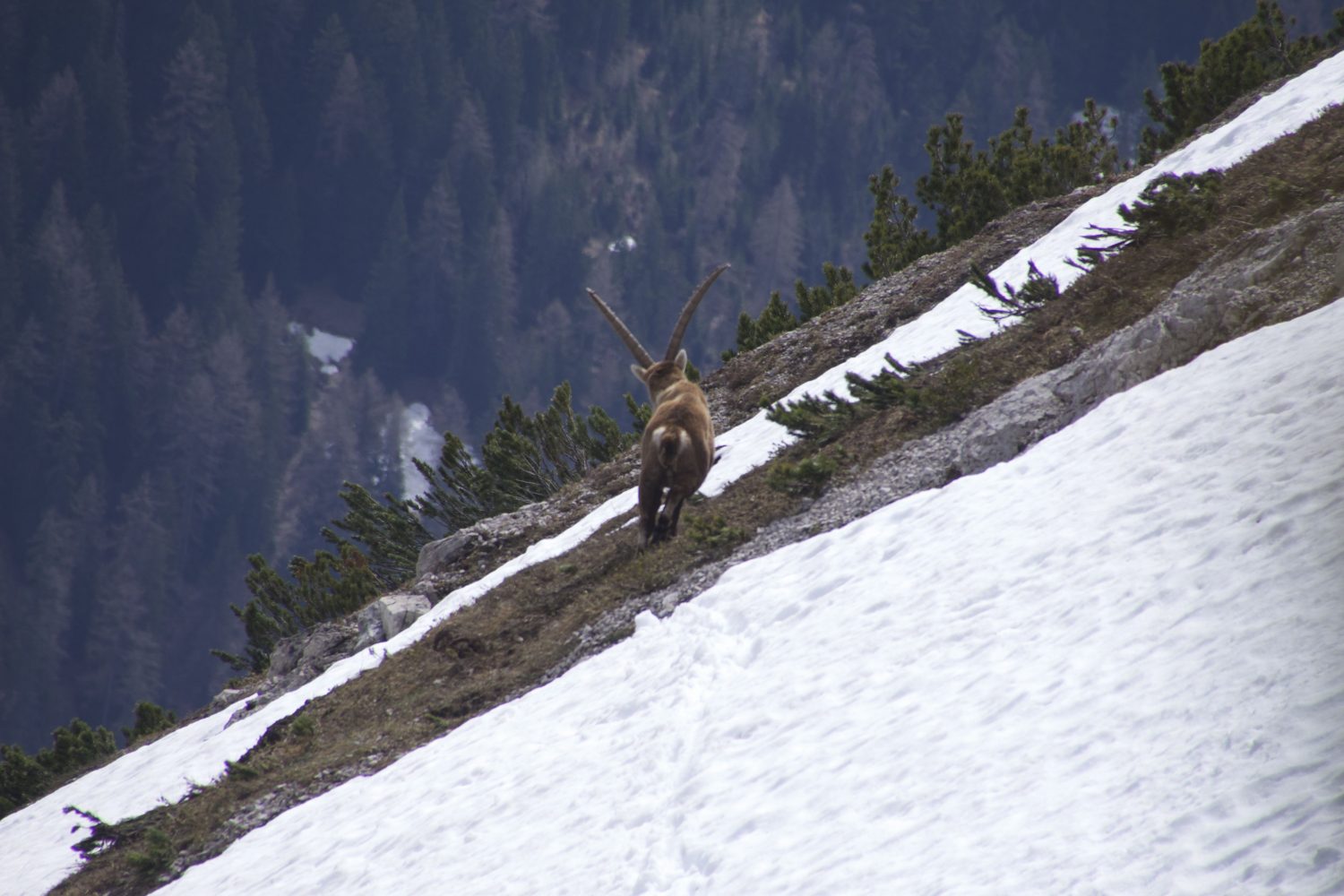 kurz vor der Mondscheinsenke
