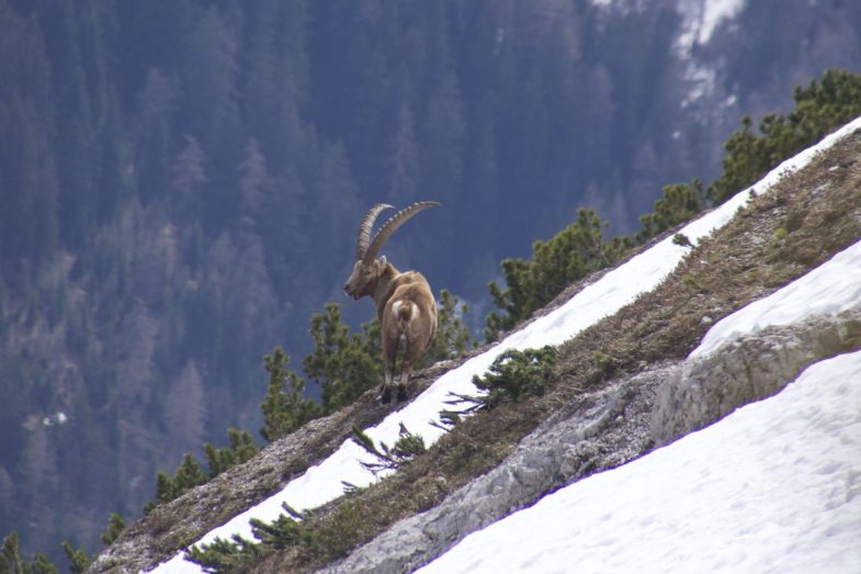wie groß er ist :-D