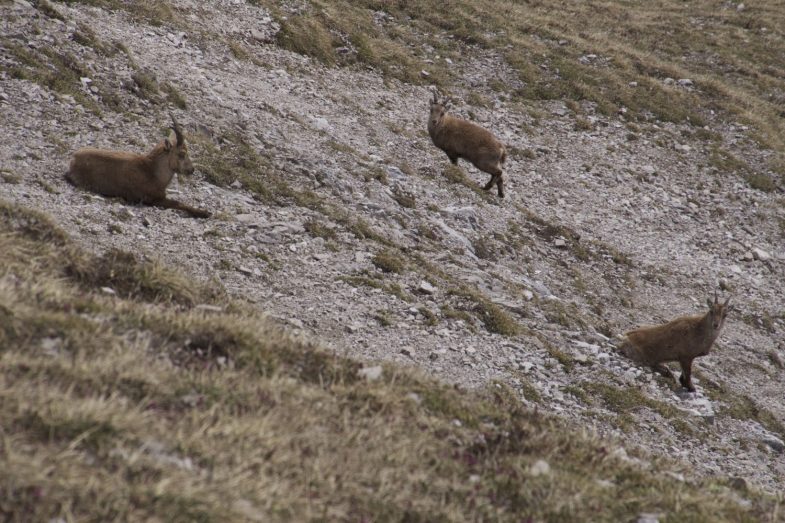 Kleine Familie ohne Papi