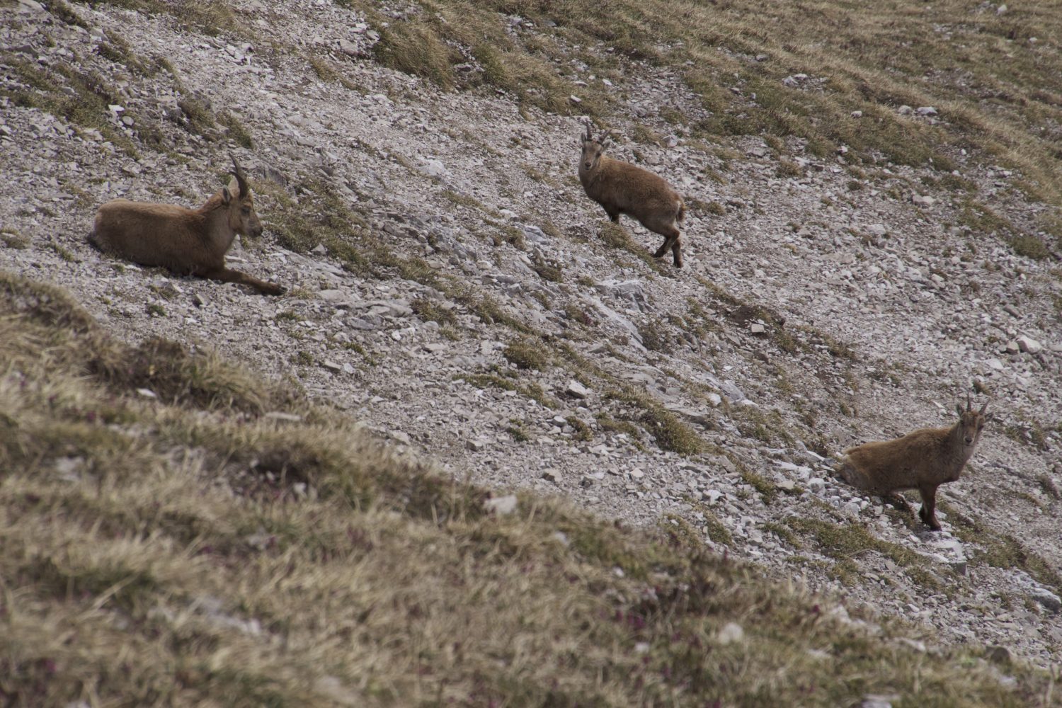 Kleine Familie ohne Papi