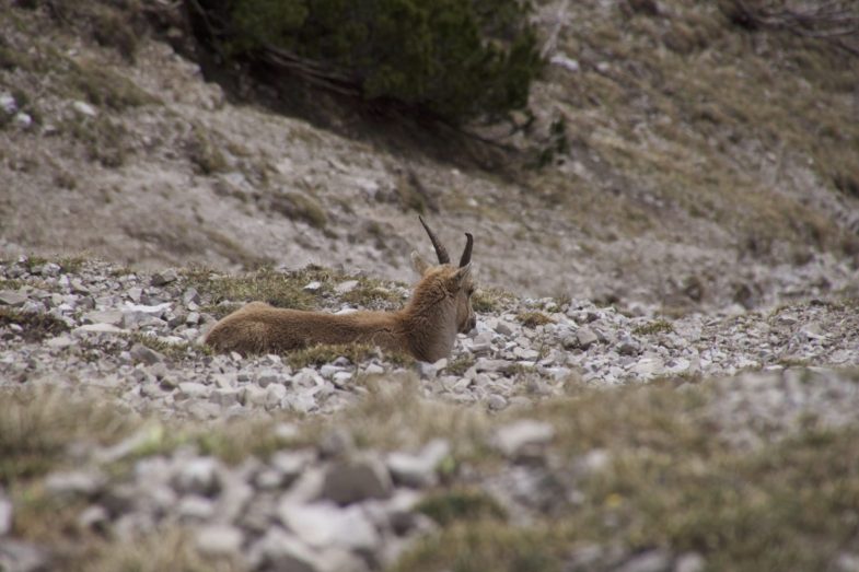 Noch ist chillen angesagt