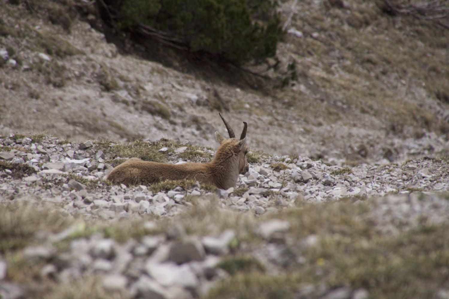 Noch ist chillen angesagt