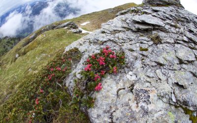 Große Padasterhausrunde- Stubaier Alpen