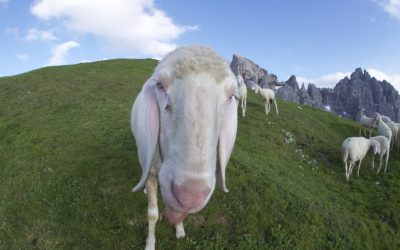 Hochtennspitze über Kemater Alm