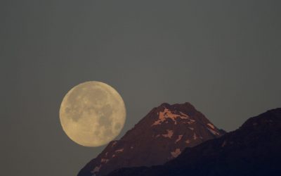 Vom Tuxerjoch bis zum Reckner- Am Grenzkamm unterwegs