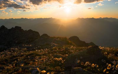 Abends auf den Kreuzjochkogel- Stubaier Alpen