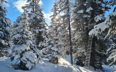 Irgendwo im Voldertal- Tuxer Alpen