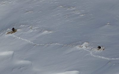 Gammerspitze- Ein weiterer Hike and Fly Versuch