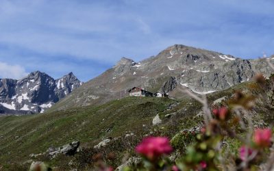 Auf einen fast 3000er im Sellraintal- Haidenspitze