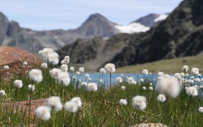 Brunnenkogelhaus- Hinterer Brunnenkogel- Rotkogel- Wilde Rötespitze- Wannenkarsattel- Windachtal- Sölden