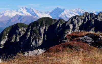 Traumhafte Runde hoch über dem Gschnitztal- Stubaier Alpen