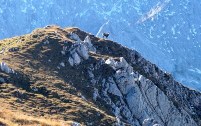 Bike & Hike auf den Hochwannigkopf- Wettersteingebirge