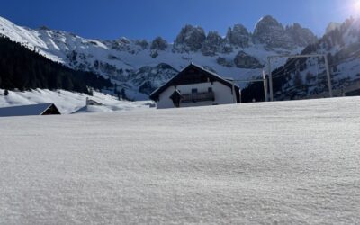 Wieder mal auf die Kemater Alm- Stubaier Alpen