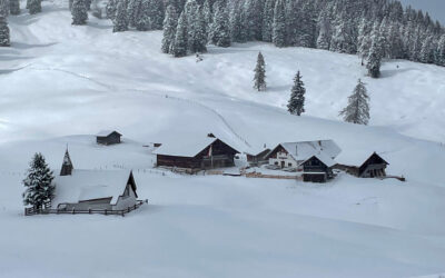 Wintergruß am Walder Joch- Karwendel