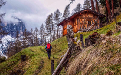 Wanderung Im Pinnistal- Stubaier Alpen