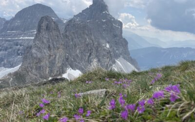 Von Steinach auf den Pflerscher Pinggl- Stubaier Alpen