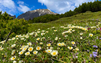 Auf den Brunstkopf- den Garberskopf und weiter zur Kuhljochspitze- Karwendel