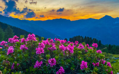 Zum Sundowner auf den Zwölfer- Stubaier Alpen