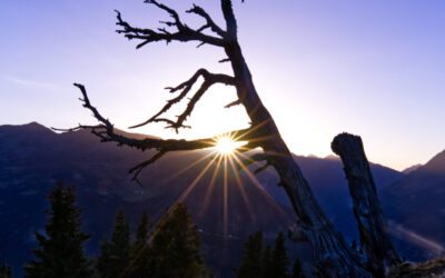 Bike and Hike auf Salfeins- Stubaier Alpen