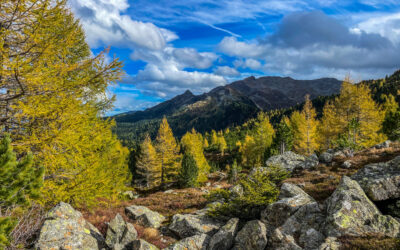 Von Patsch über die Hochmahdalm auf den Hausberg und Abstieg über die Aldranser und Sistranser Alm- Tuxer Alpen