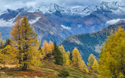 Herbstliche Runde auf das Nösslachjoch- Stubaier Alpen