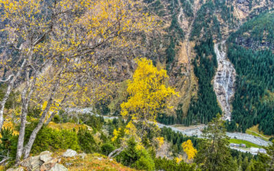 Bergtour auf den unbekannten Schöckbichl- Stubaier Alpen