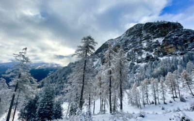 Von Trins auf den tief verschneiten Padasterkogel- Stubaier Alpen