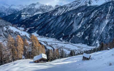 Stubaier Almenrunde im lockeren Pulverschnee- Stubaier Alpen