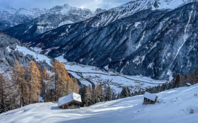 Stubaier Almenrunde im lockeren Pulverschnee- Stubaier Alpen