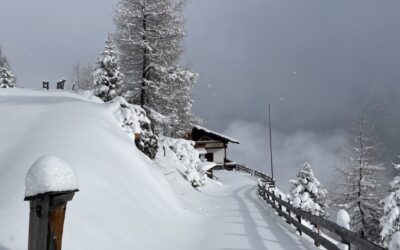 Von Forchach zur Kaserstattalm und Abstieg nach Neder- Stubaier Alpen