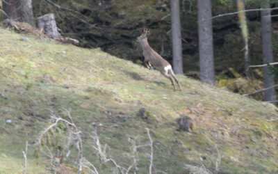 Von Trins über die Zwieselmähder auf den stürmischen Blaser- Stubaier Alpen